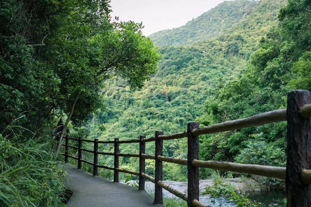 深圳168第九站112021号坪山碧岭绿道马峦山徒步16公里徒步