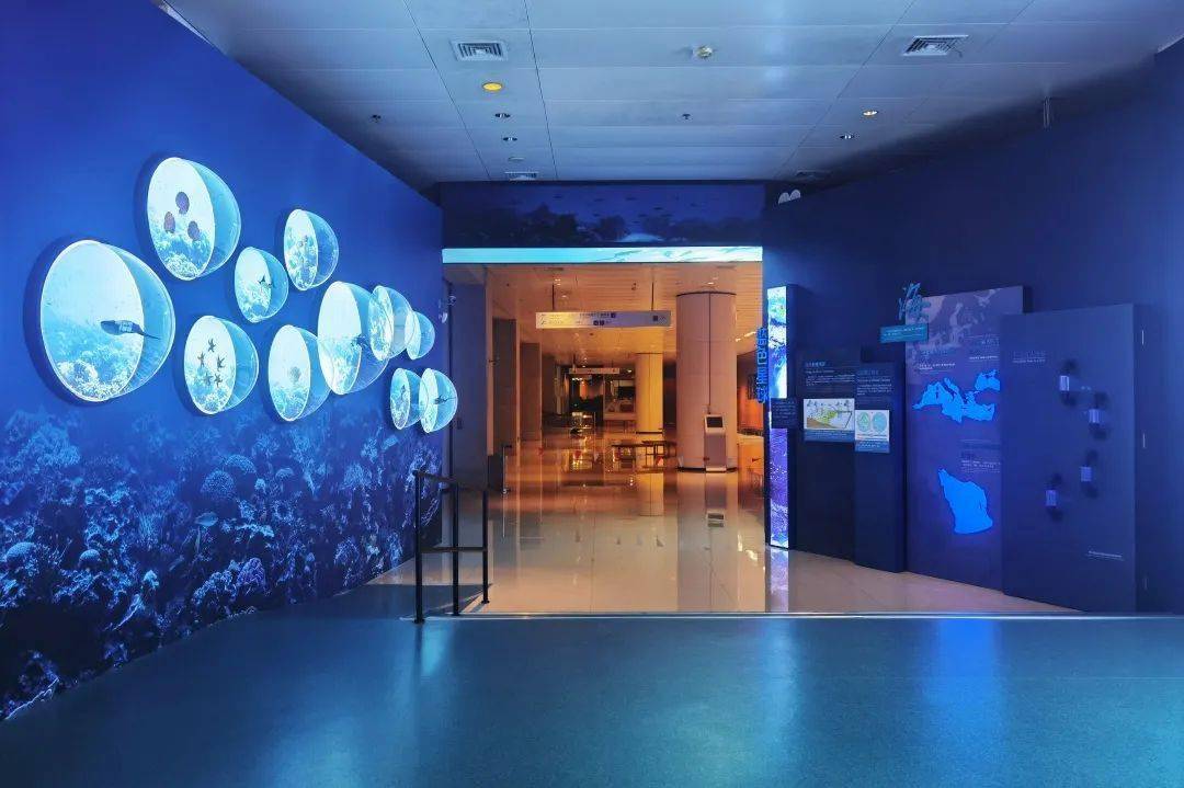 和北极狼并肩与蛟龙号共潜中海博海洋展区今日起航