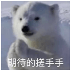 伍雅露|今晚23:00《决胜21天》首轮公投开启谁将遗憾离开？