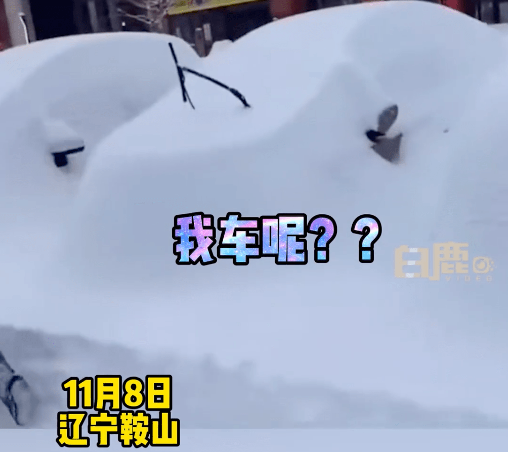 寒潮|暴雪下的东北，无法喘息