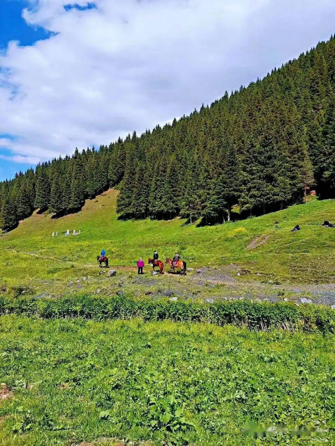 乌鲁木齐周边景点南山庙尔沟景区