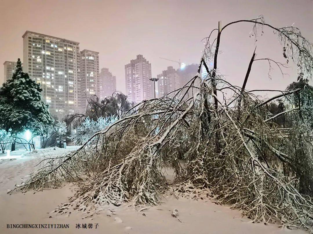 哈尔滨冻雨图片