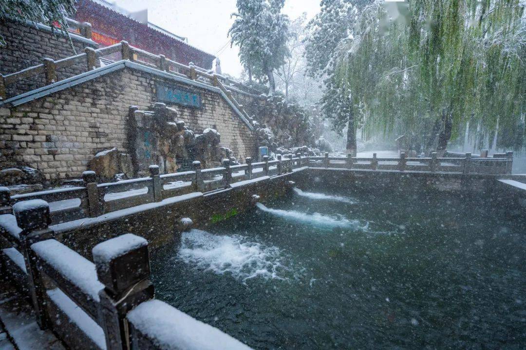 济南护城河雪景图片