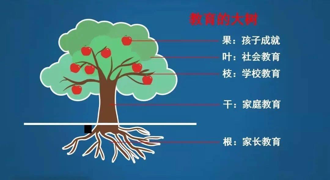 陈秀茹老师通过解析国家双减政策,论家长教育的重要性,如何缓慢优雅真