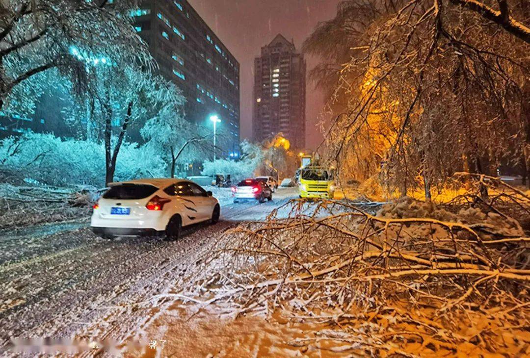 哈尔滨冻雨图片图片