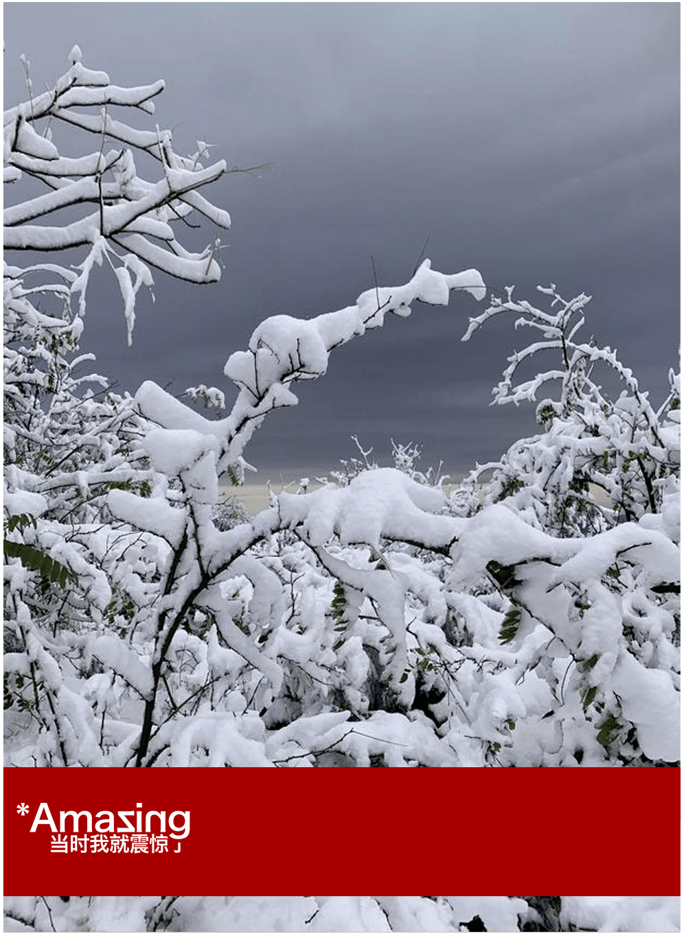 寒潮|暴雪下的东北，无法喘息