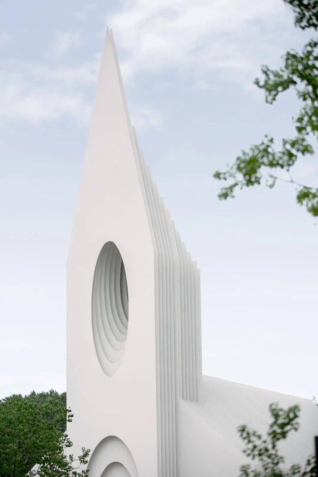 计划|像爱情一样纯粹