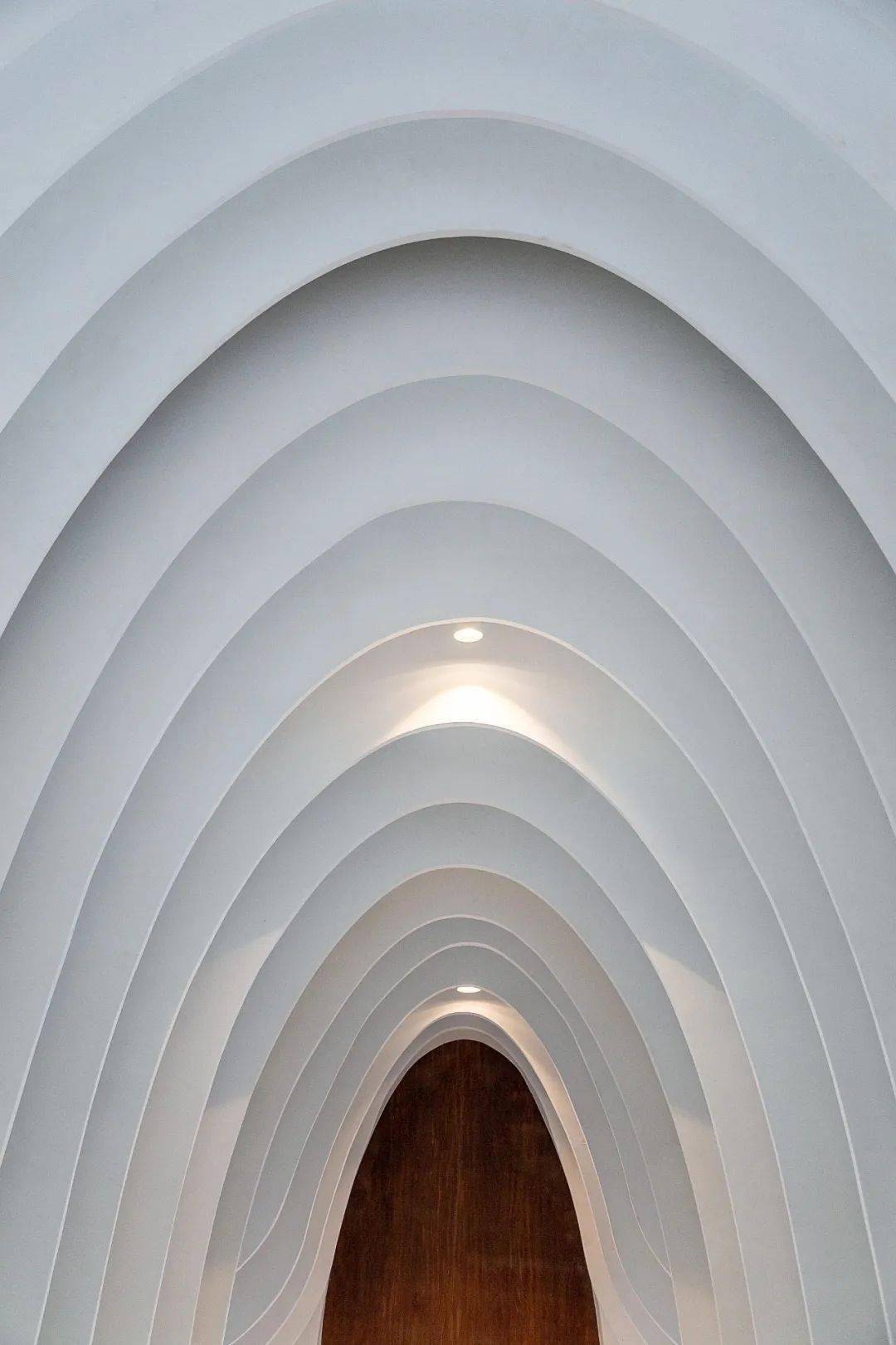 计划|像爱情一样纯粹