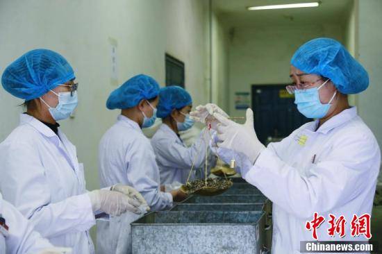 疫情|青海西宁：免费向一线抗疫人员发放中药