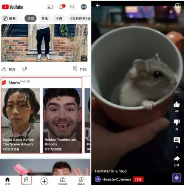 平台|“围剿”TikTok，谷歌给出了YouTube Shorts的短视频答卷
