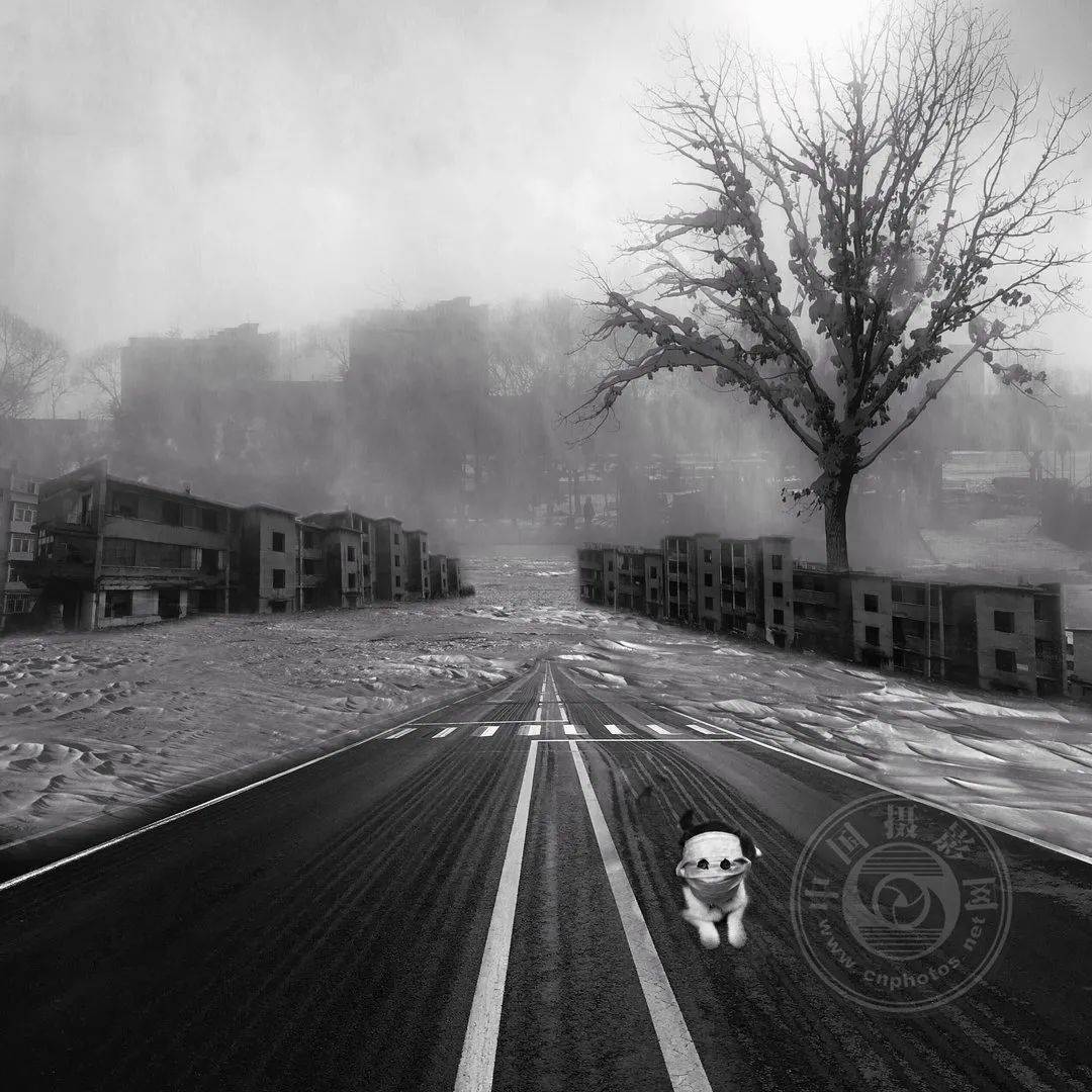 摄影|2021丽水摄影节 | 《疫惑》王东摄影作品展