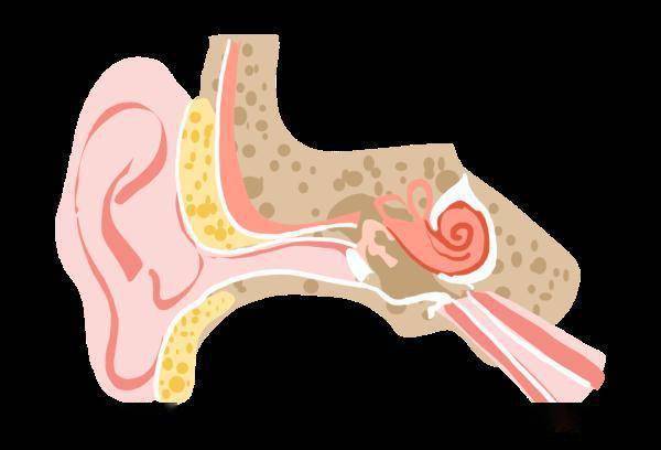 男子|杭州男子耳朵里长满“苔藓”，医生一看惊了！他的习惯很多人都有！