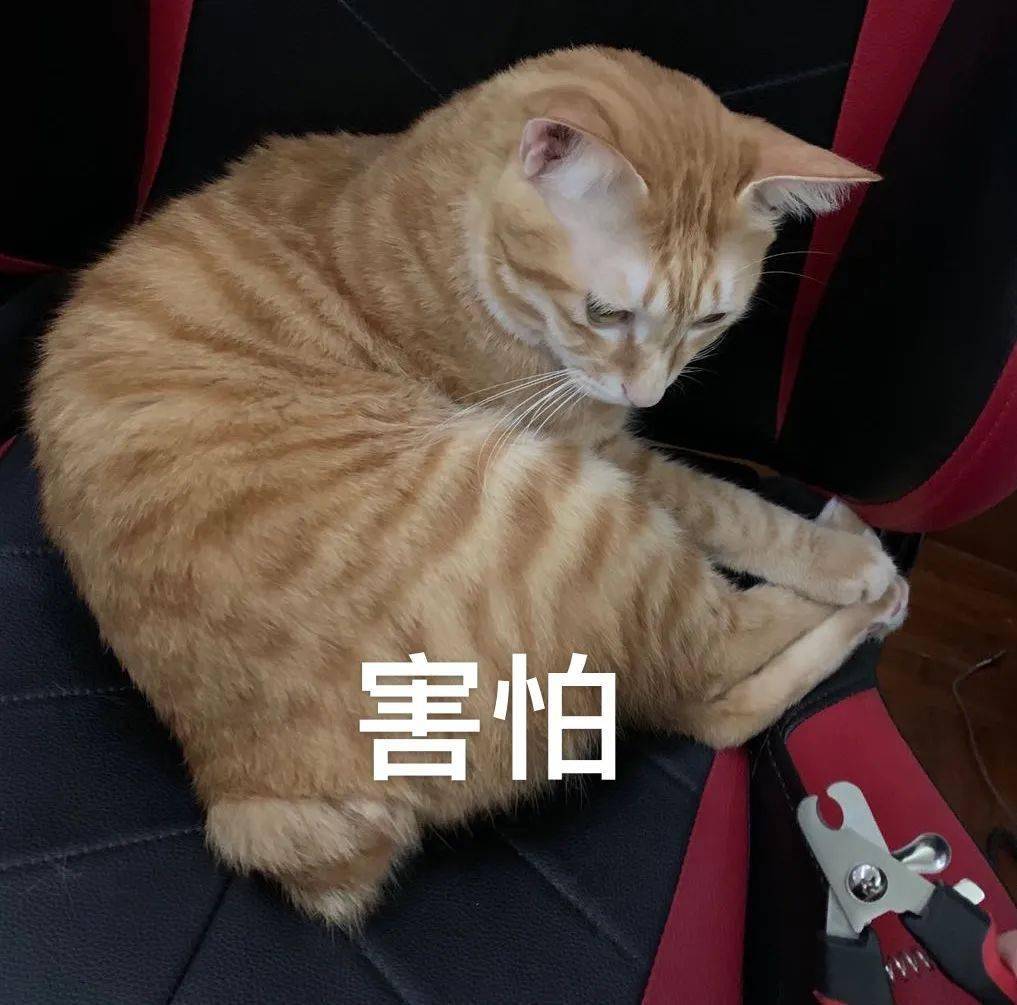 流感|速看！深圳中小学生免费流感疫苗即将开打！家长必须先做好这件事