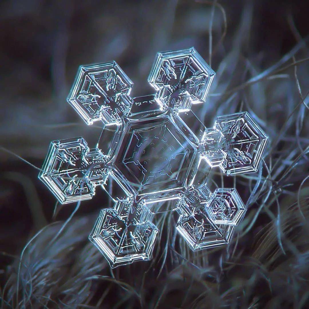 雪花神奇！他用显微镜100倍拍摄雪花，引上万人围观：好美~