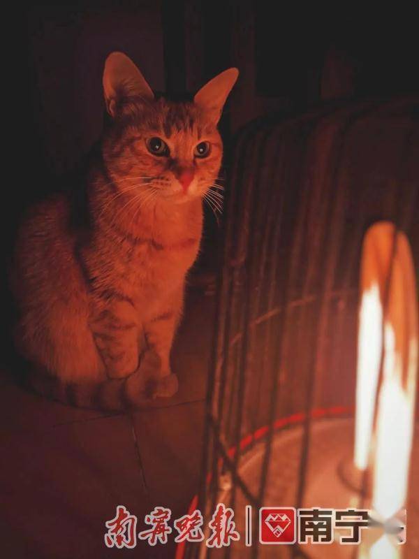 接种|广西疾控提醒：11月应注意防范这些疾病及公共卫生风险