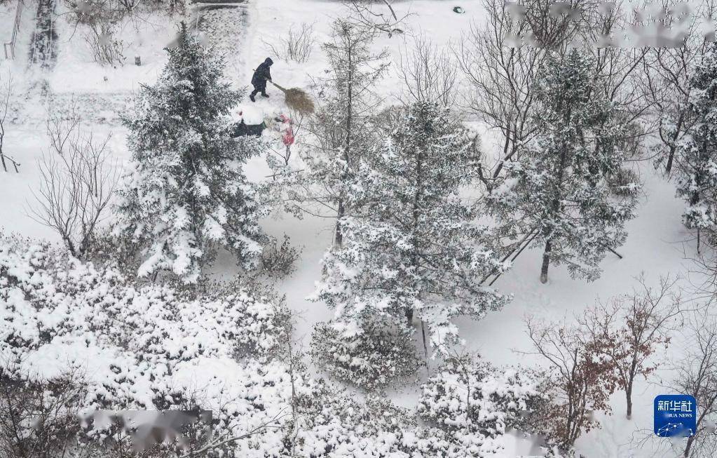 风雪,风雪|以雪为令，风雪中有他们守候