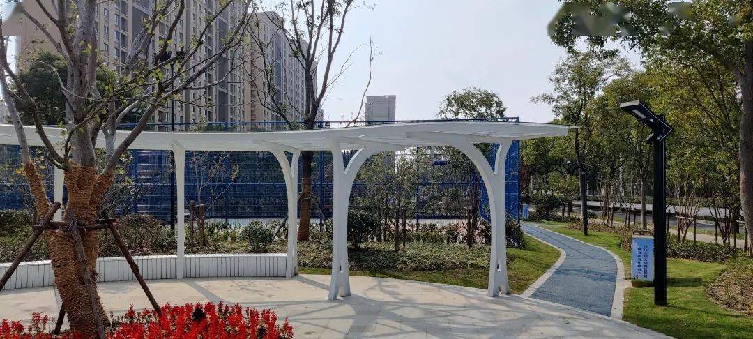 丛生紫薇修剪图片大全及价格表