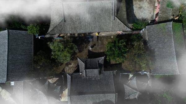 历史|文山三七宣传片——《时光里的三七》