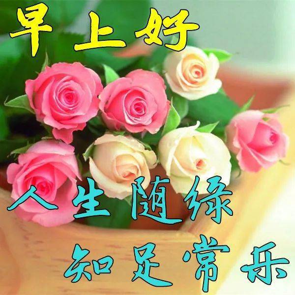 11月11日早上好动态表情图片大全早晨好动图美图大全