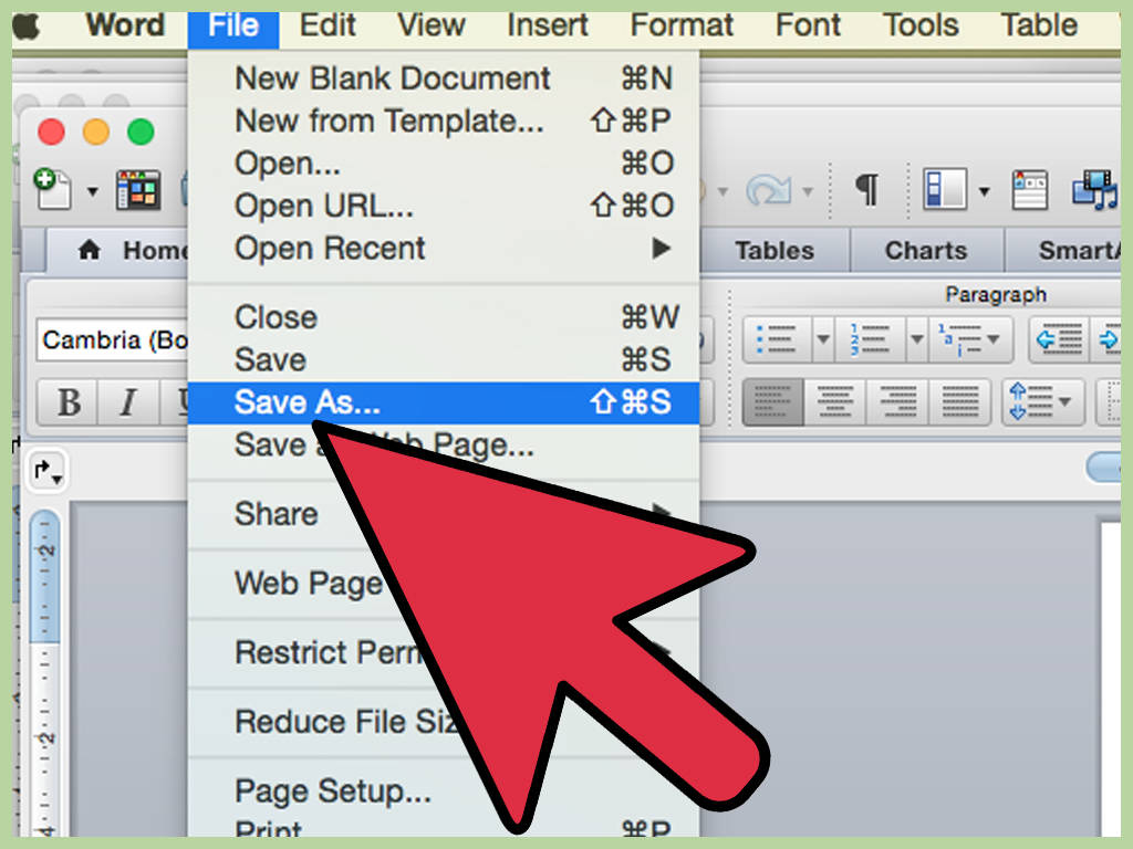  microsoft word 