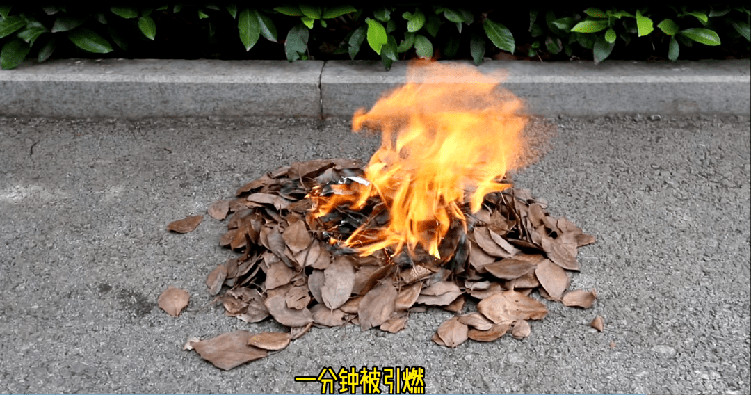 又是因为它……_烟头