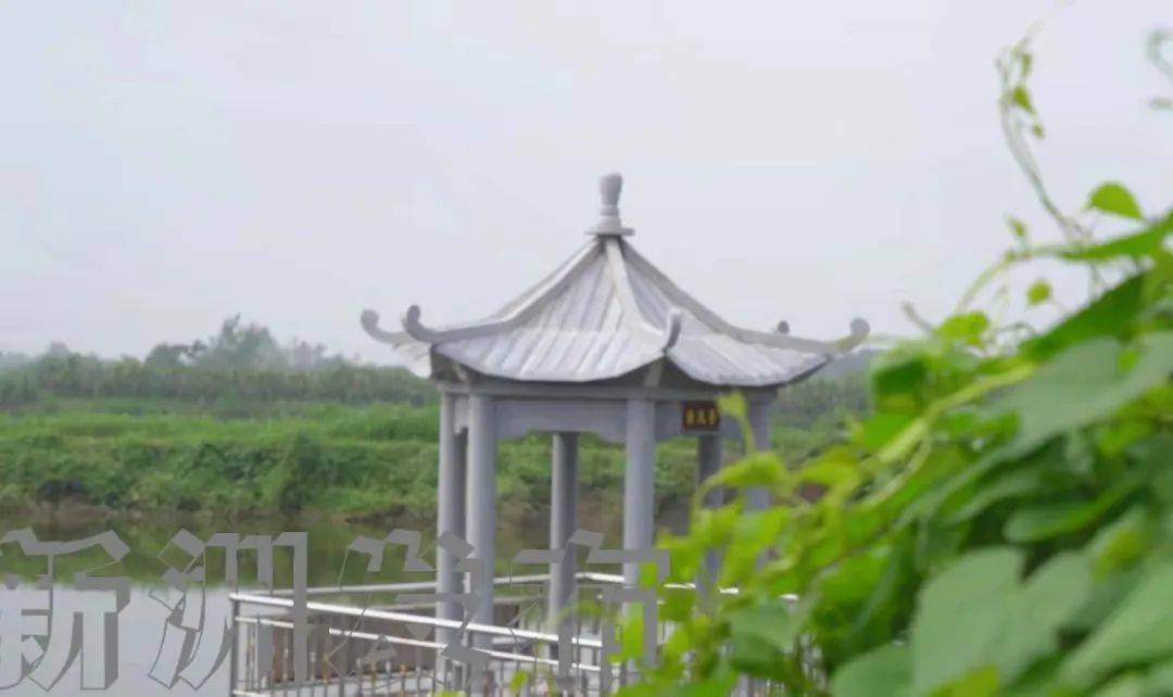 美丽乡村丨汪集陶咀村:"颜值"高 产业兴 生活美_新洲