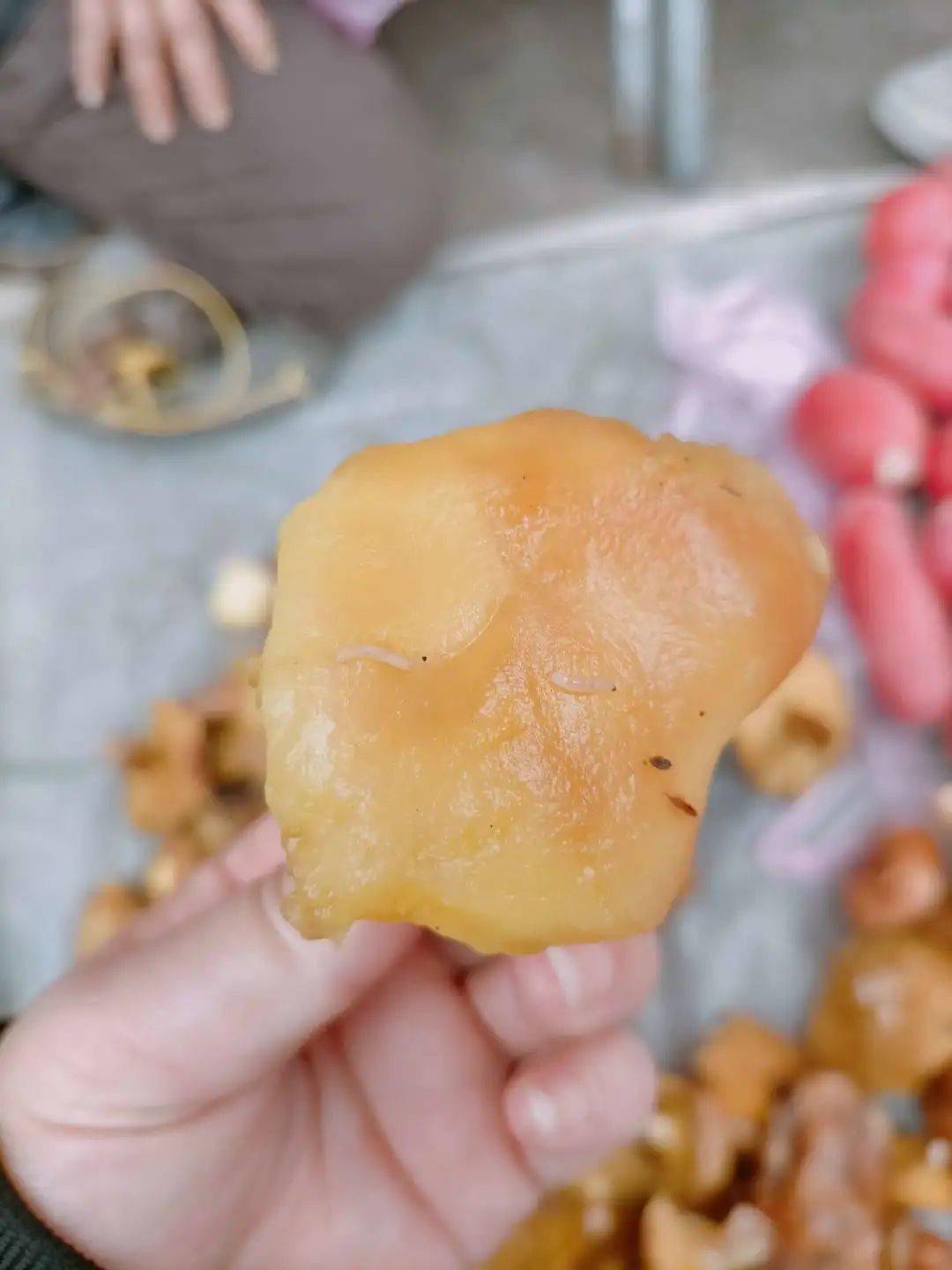 湘西网友发帖吐槽剥皮菌不好吃里面全都是蛆太恶心了