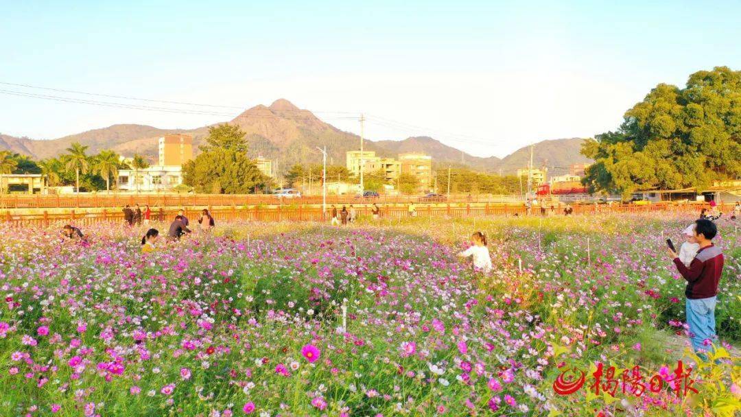 推进内溪美化项目大力实施乡村振兴战略普宁市燎原街道渔新村近年来