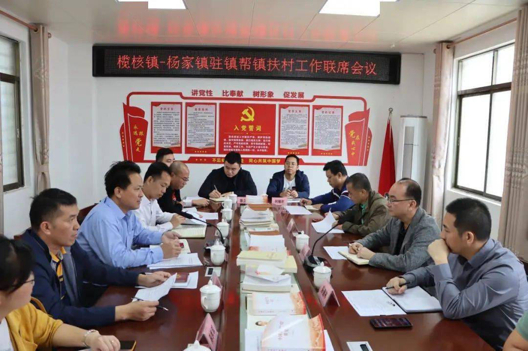 榄核镇领导到雷州市杨家镇调研乡村振兴驻镇帮镇扶村工作