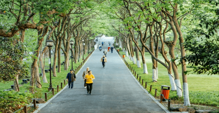 进行|人人享有糖尿病健康管理