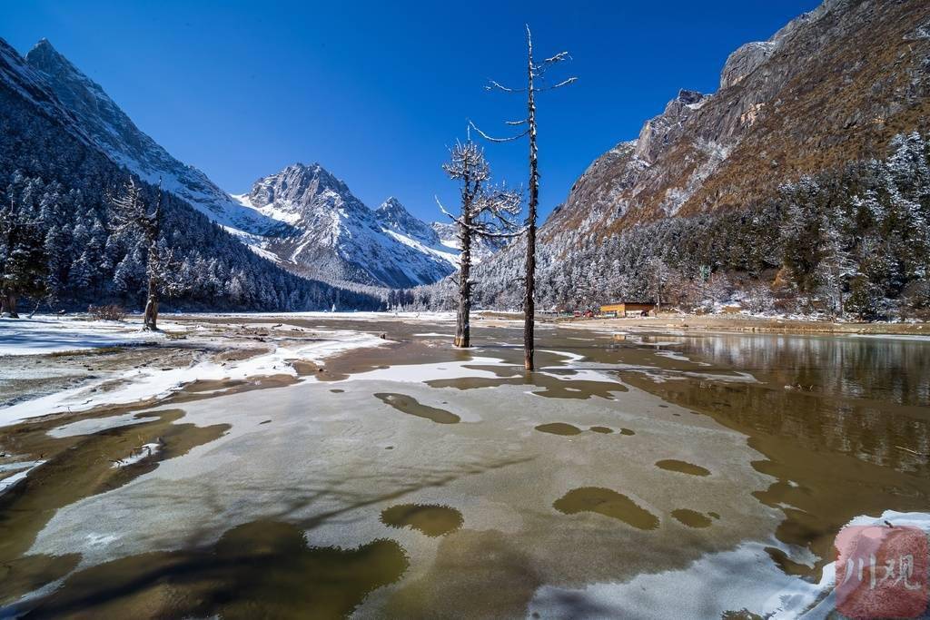 景区|如诗如画！来看毕棚沟初冬雪景大片