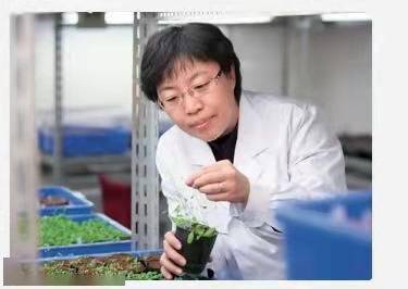 专访中科院院士曹晓风：搞好科研当好母亲，要给女性更多信心