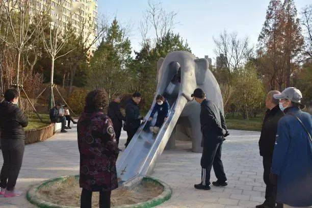 迎泽公园内大象滑梯露出了崭新的面容