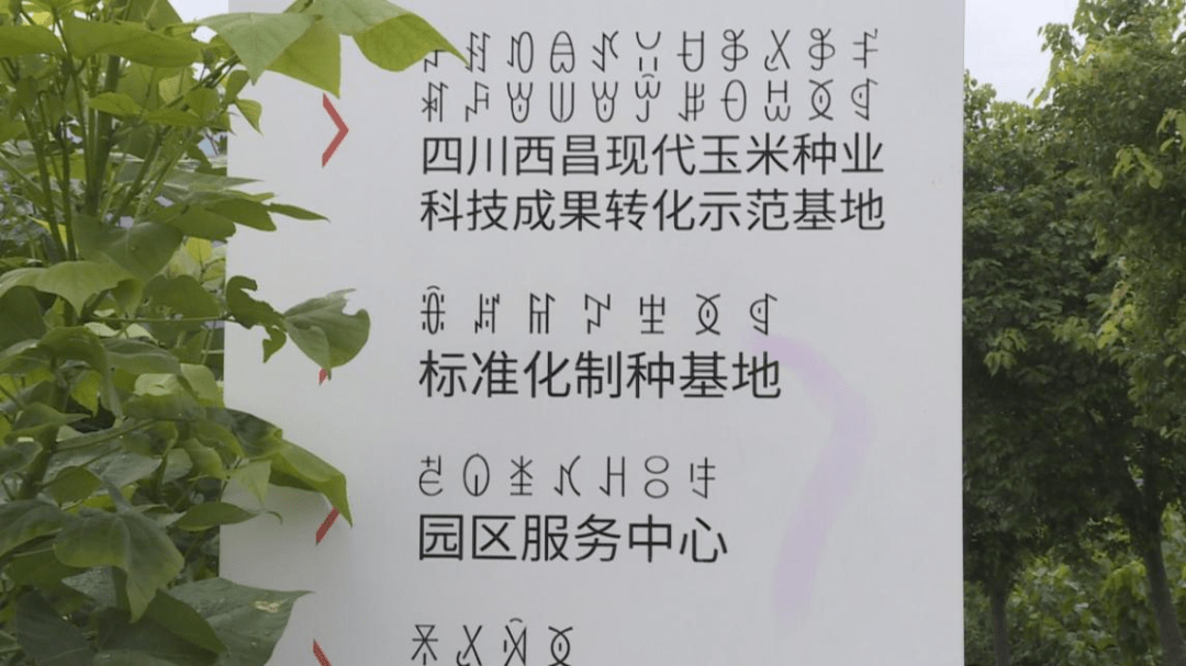机遇|【乡村振兴】阿七镇大田村：紧抓机遇促发展 昂首迈上幸福路