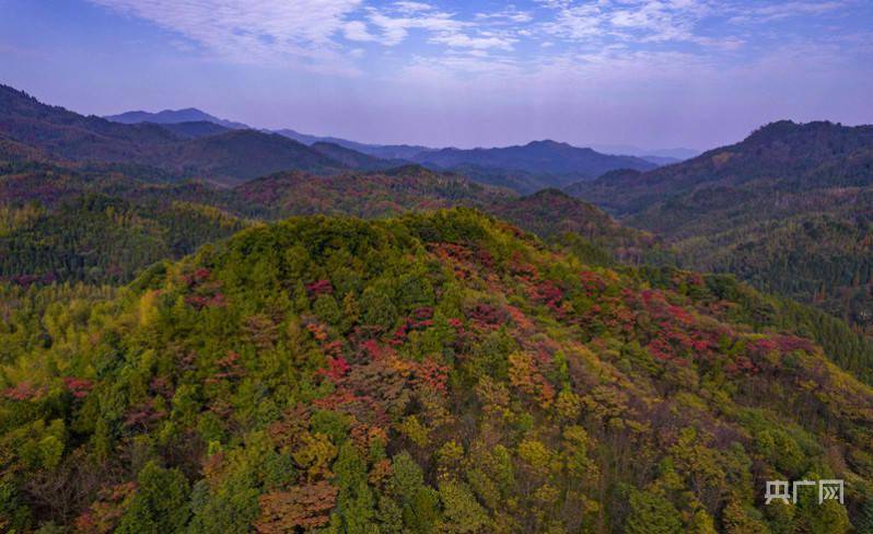 初冬时节大岗山层林尽染风光无限