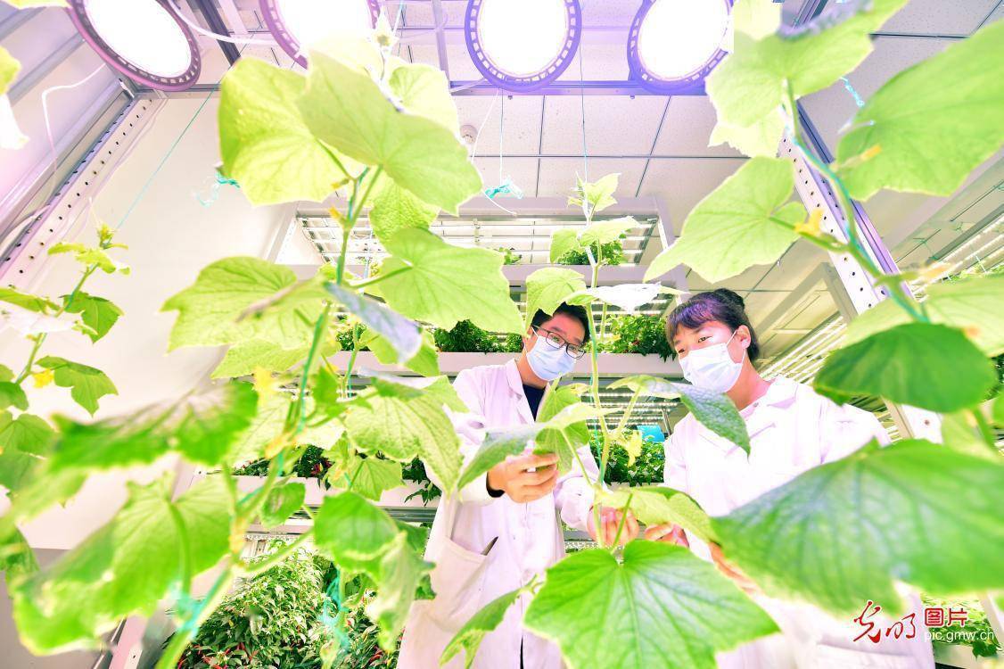 现代科技赋能智慧农业