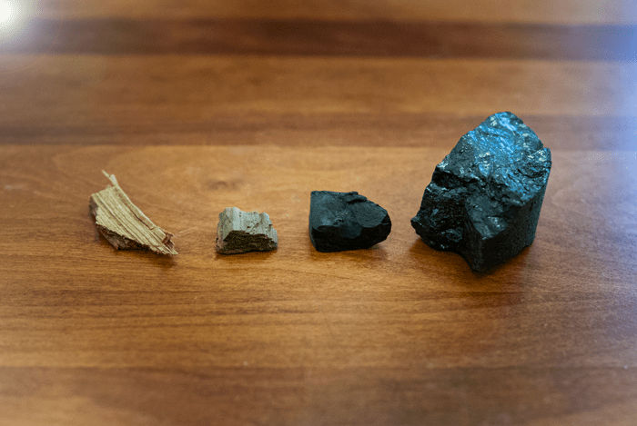 《科学》揭示煤炭成因：微生物直接消耗煤甲氧基，还产生甲烷