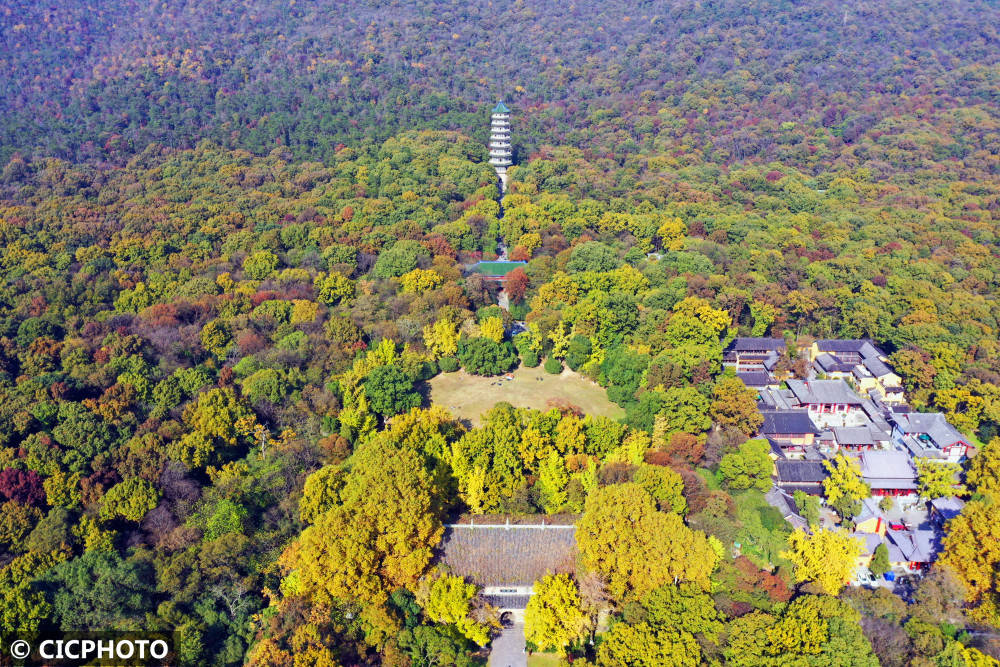 2021年11月13日拍摄的江苏南京钟山风景区灵谷寺景色