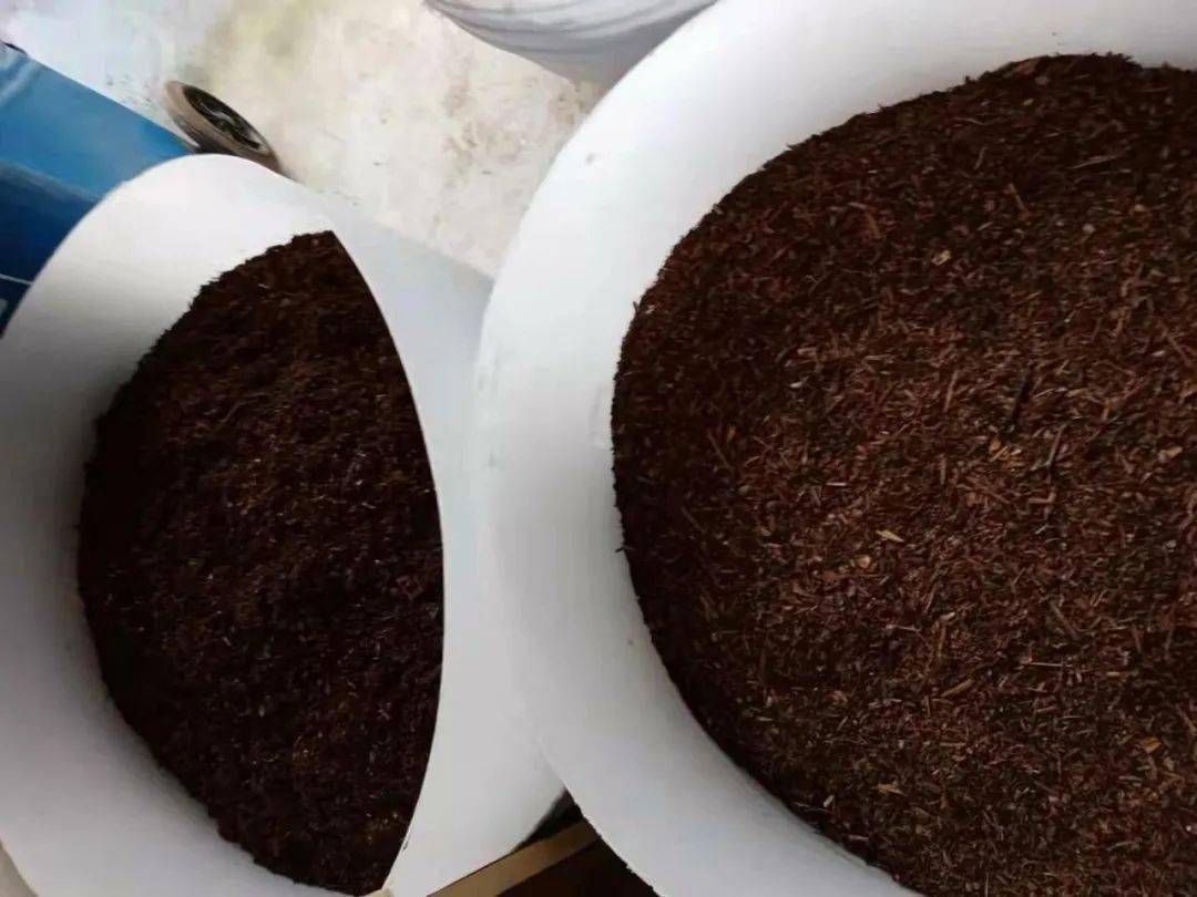 产自宁波零污染村庄的酵素大米拥有舌尖上的健康