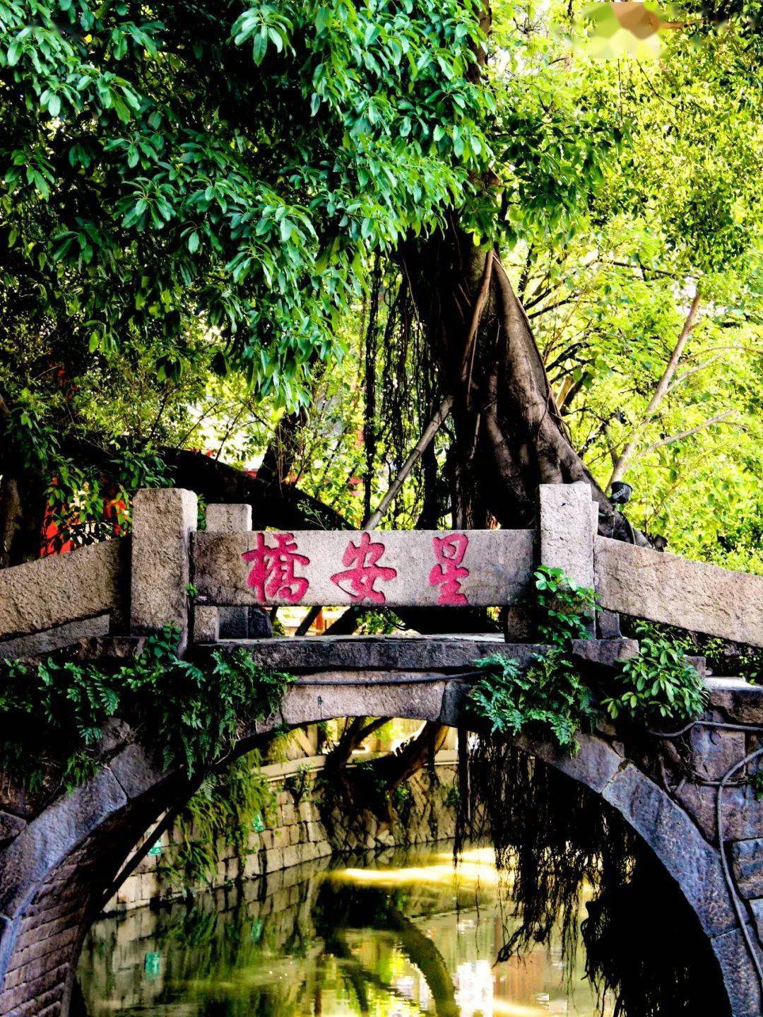 上下杭 · 星安桥古厝悦读我睡了,我的诗记下你的温柔,你不妨安心放芽