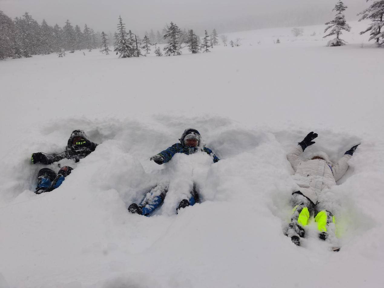 景区|雪深超一米 凤凰山高山雪原“风姿”初现