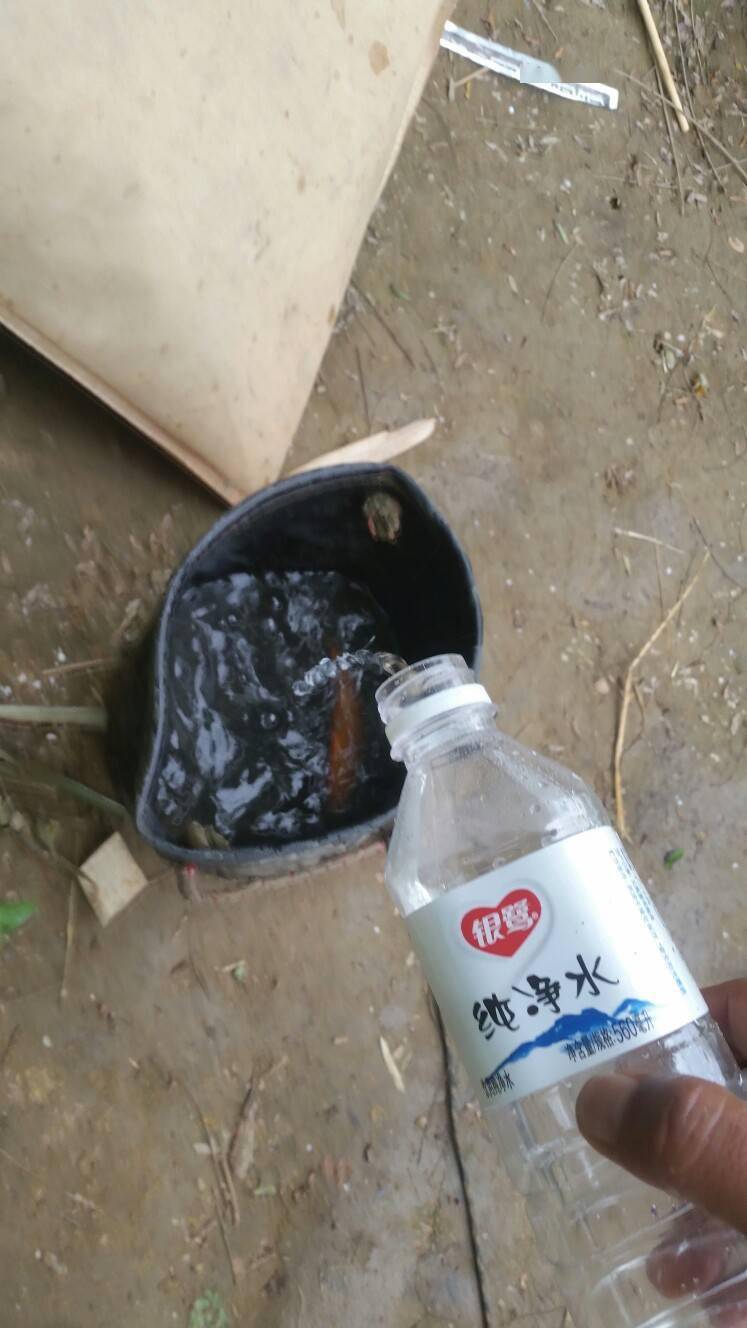 索性,把小金鱼装打水桶,其它鱼一同也装点回去,一瓶没喝完的矿泉水也