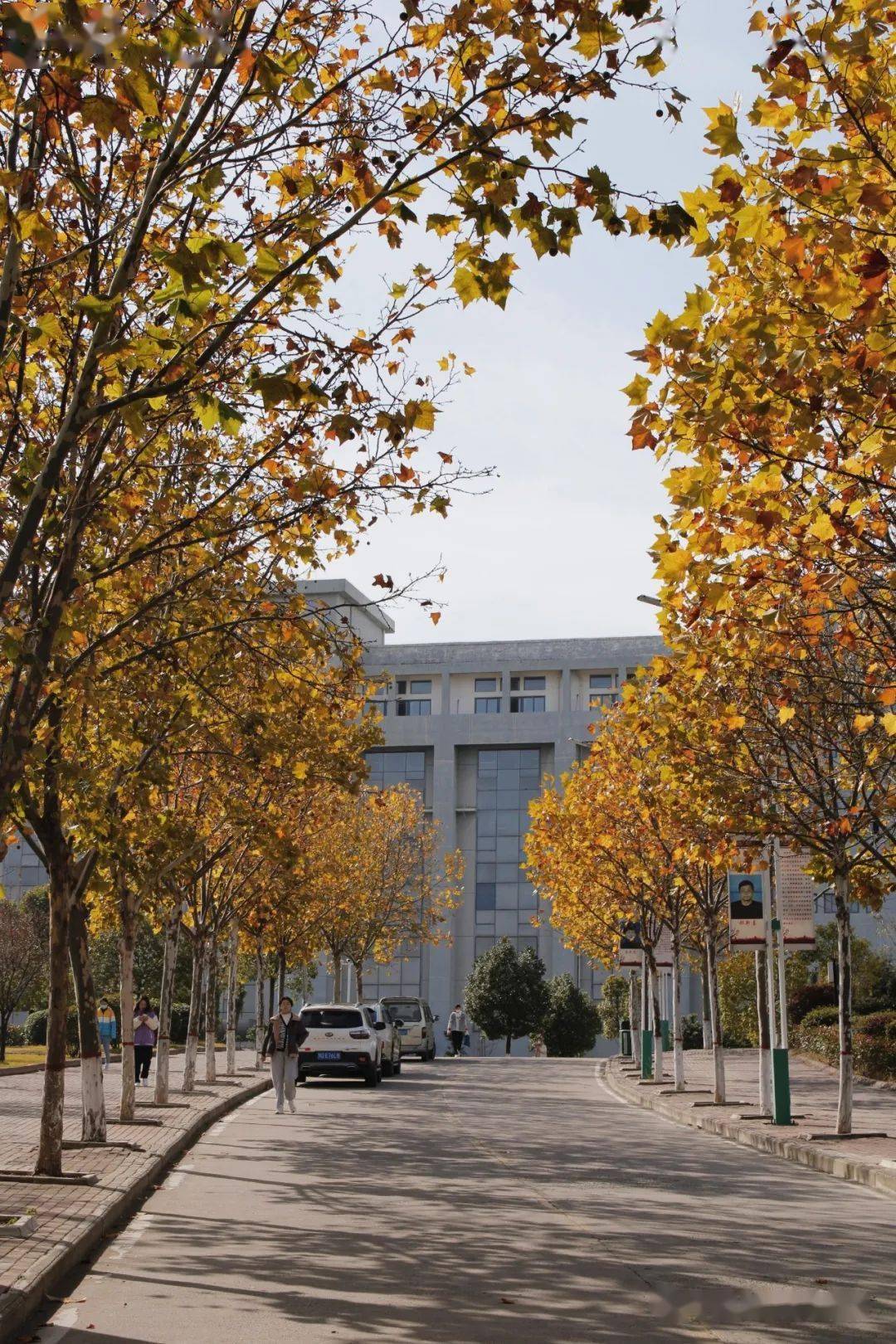 平顶山学院图片风景图图片