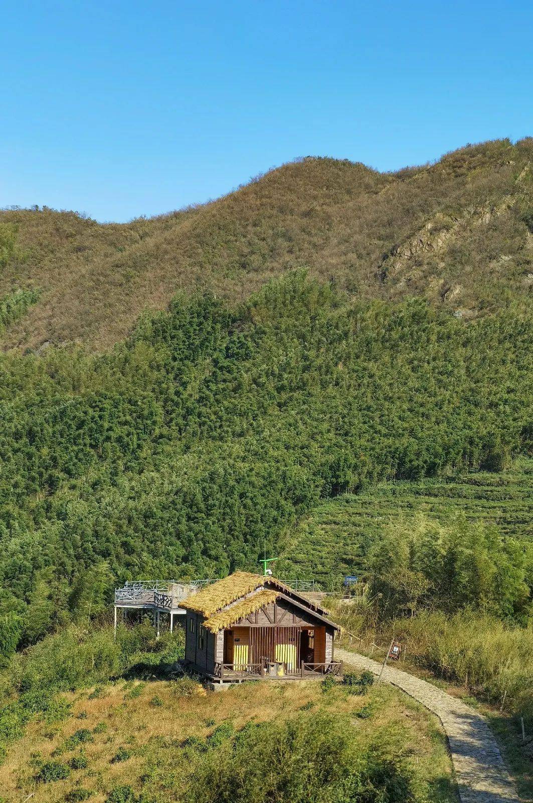 大自然秋冬的颜色到百丈九东山爬山去什么样的风景能够抓住秋天的尾巴