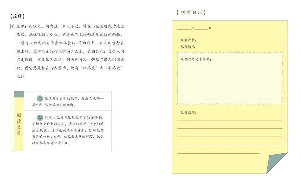 年级|今日开团：《新母语》4-6年级火热上市！这套书为什么这么受欢迎？看完你就知道了！