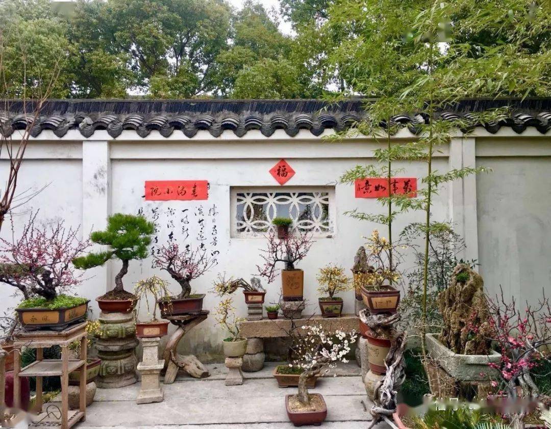 如此唯美的中式小院想跟你一起这样慢慢变老