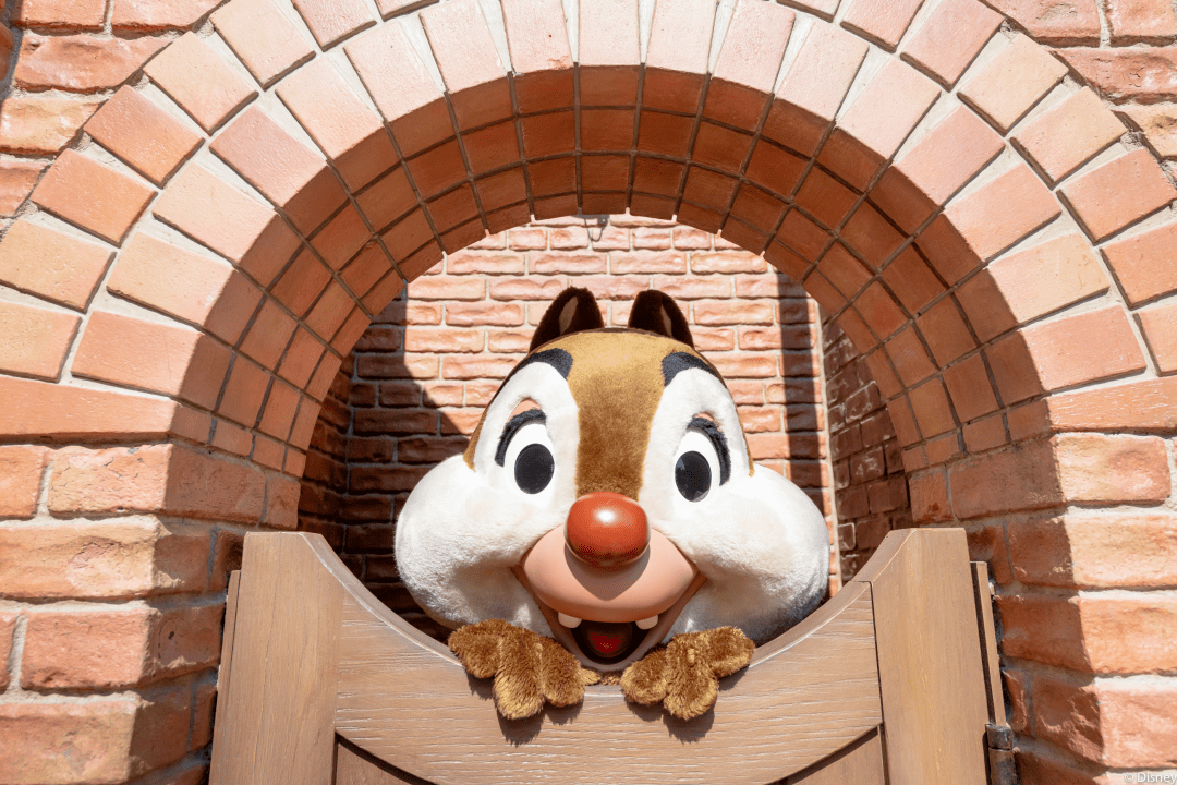 本月壁纸一大波奇奇蒂蒂壁纸自带快乐魔法