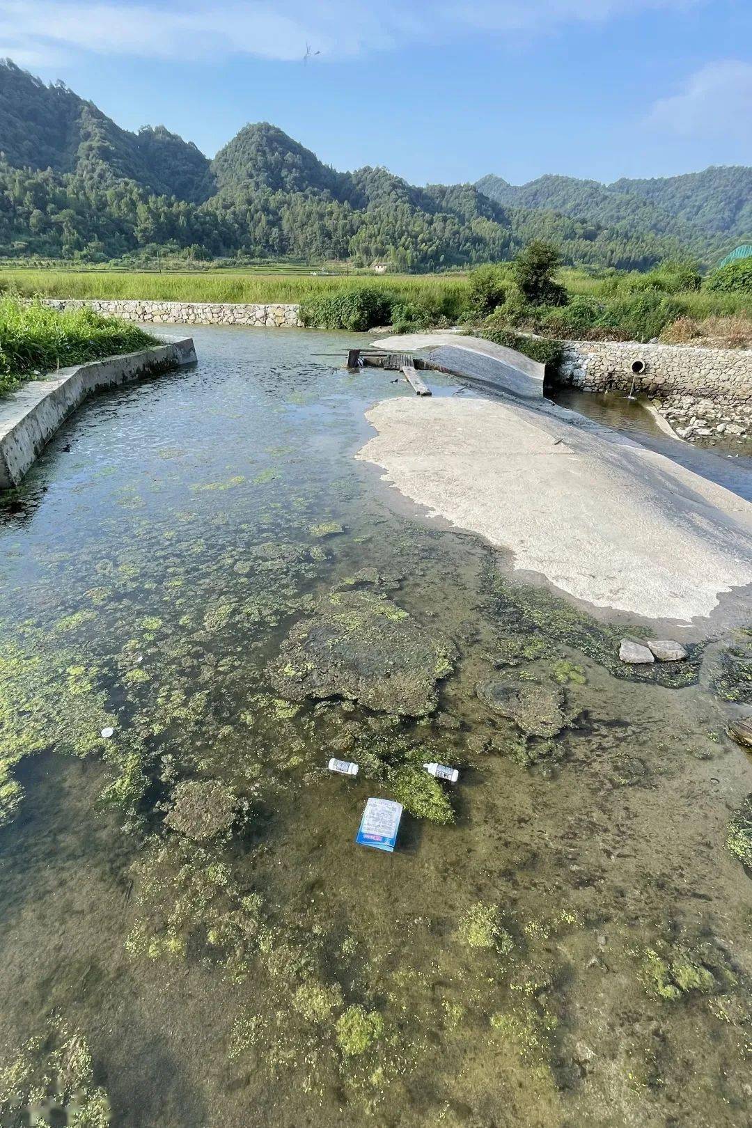 俞孔坚构建和修复一个健康的水生态系统丨主编寄语