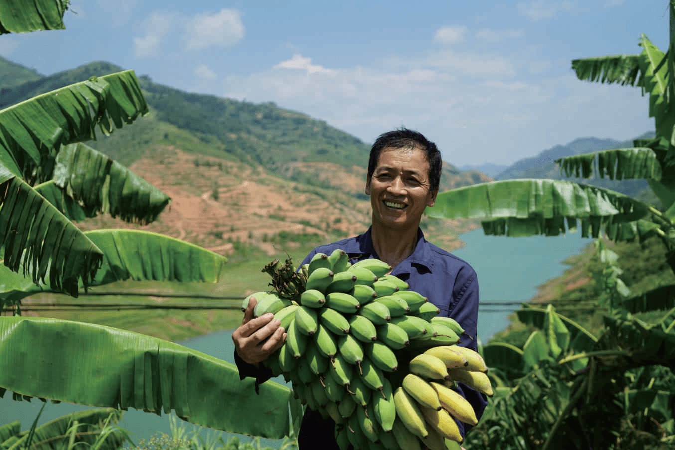 【文旅融合万峰秀·产业之魅】望谟精品果业:产销两旺新生活_望谟县