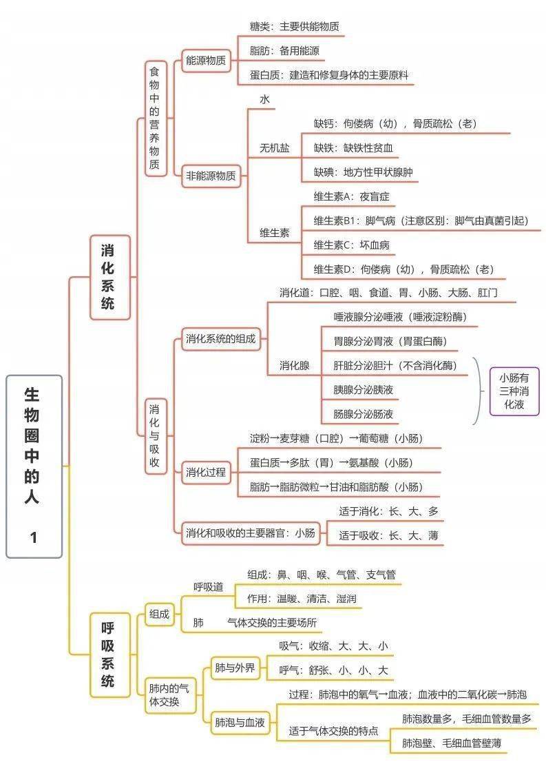 了然|初中生物全册思维导图总结，所有必考点一目 了然！